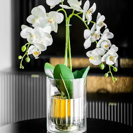 Nad Odra Gold Apartamento Szczecin