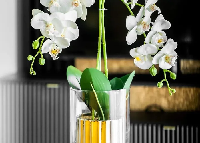 Nad Odra Gold Apartman *